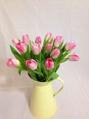 Spring Tulips (Next Day)