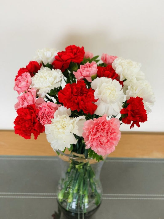Charming Carnations (Same Day)