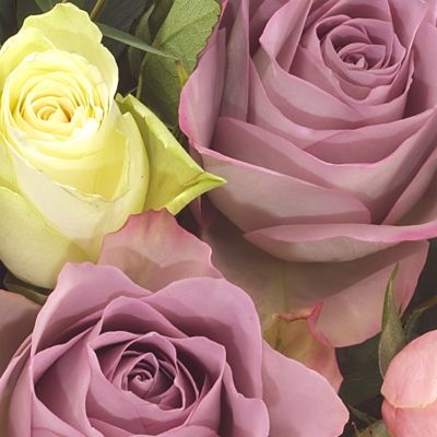 Florist Choice Spring Gift Bag (Next Day)