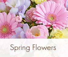 Florist Choice Spring Colours (Next Day)